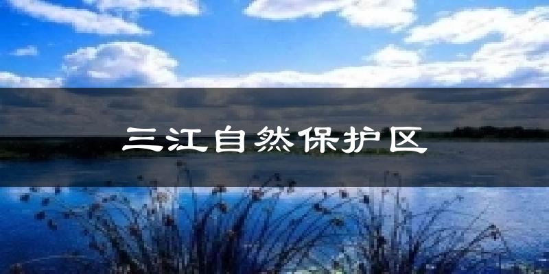 三江自然保护区气温