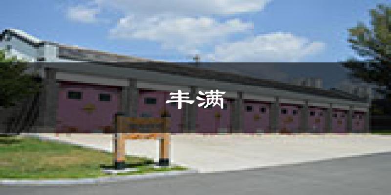 吉林丰满天气预报未来一周