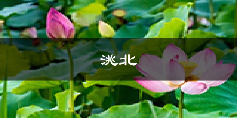 白城洮北天气预报未来一周