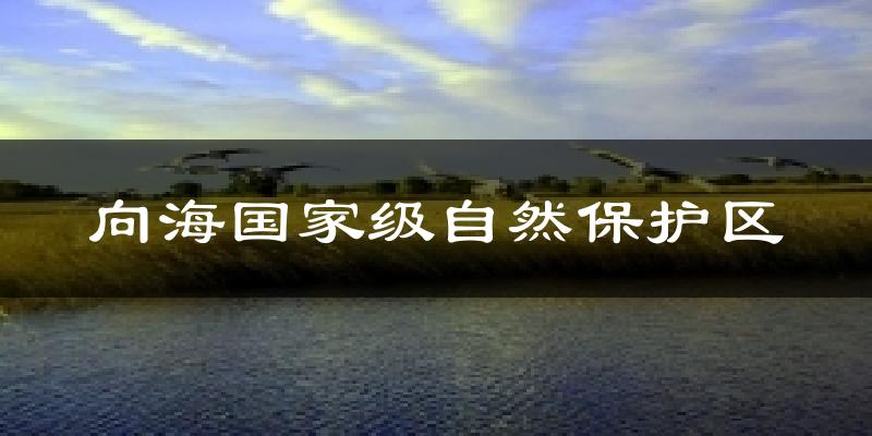 向海国家级自然保护区气温