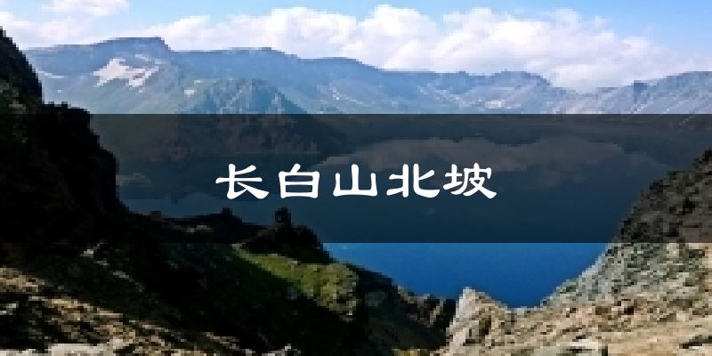 长白山北坡气温