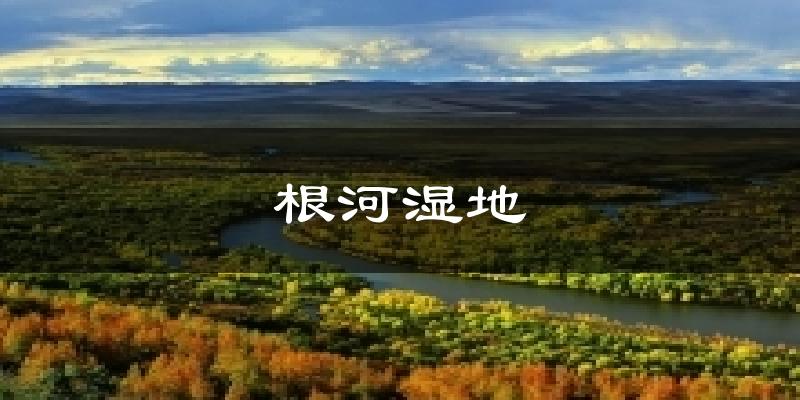 根河湿地今日天气