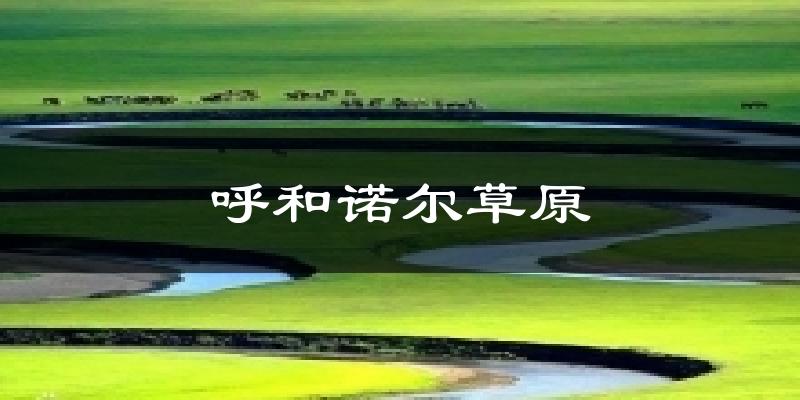 呼和诺尔草原今日天气