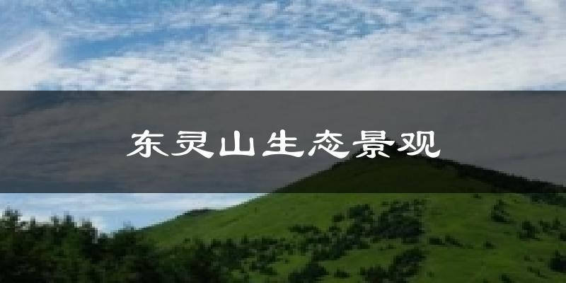 东灵山生态景观今日天气