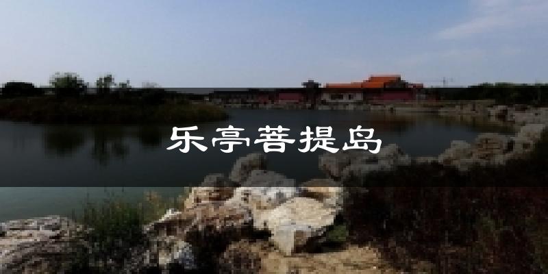 乐亭菩提岛今日天气