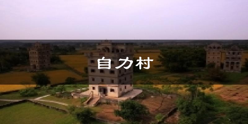 自力村今日天气