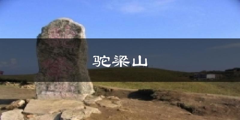 驼梁山气温