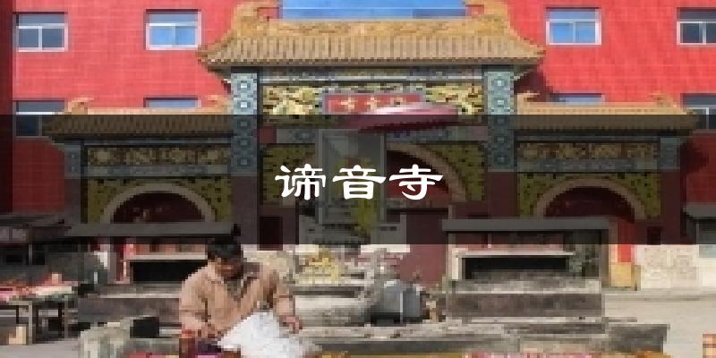 谛音寺气温