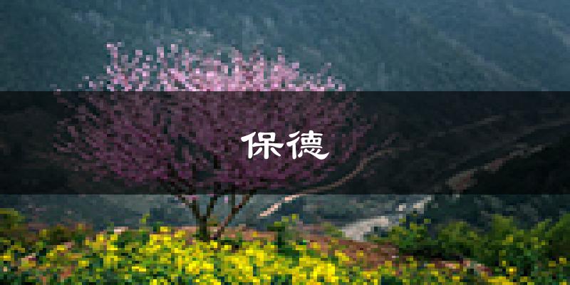 保德天气预报未来一周