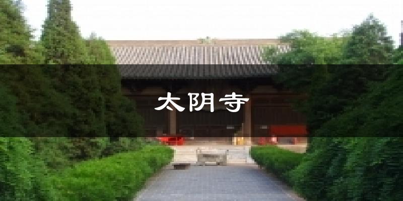太阴寺今日天气