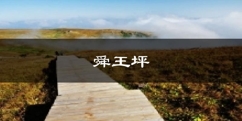 舜王坪气温