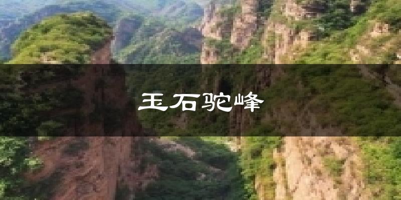 玉石驼峰气温