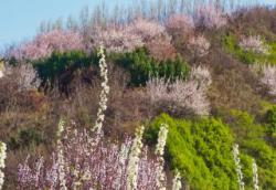 周至天气未来15天