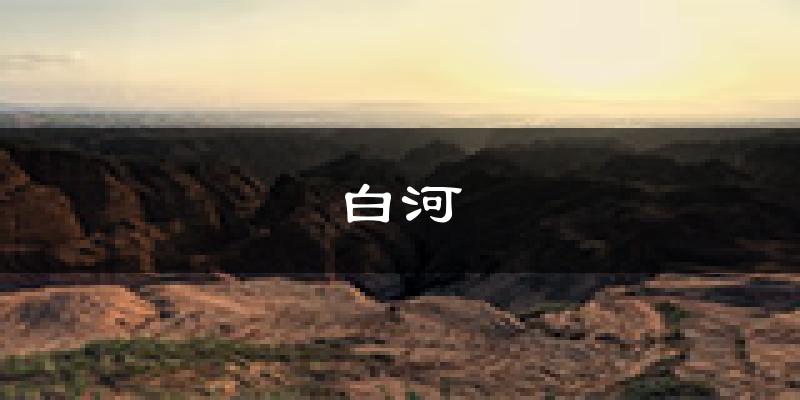 白河天气预报未来一周