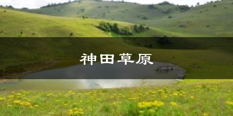 神田草原气温
