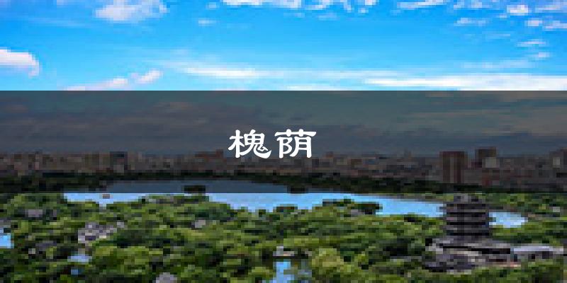 济南槐荫 天气预报未来一周