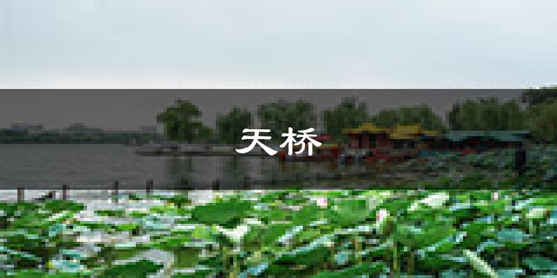 济南天桥天气预报未来一周