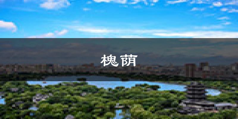 济南槐荫天气预报未来一周