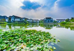 淄博天气未来15天