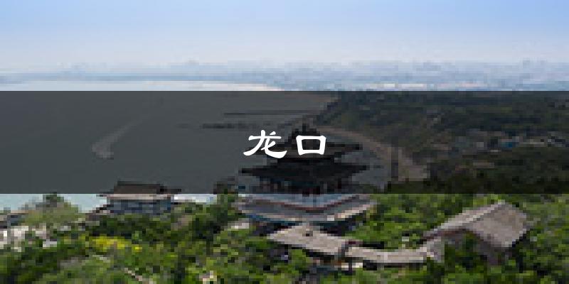 龙口天气预报未来一周