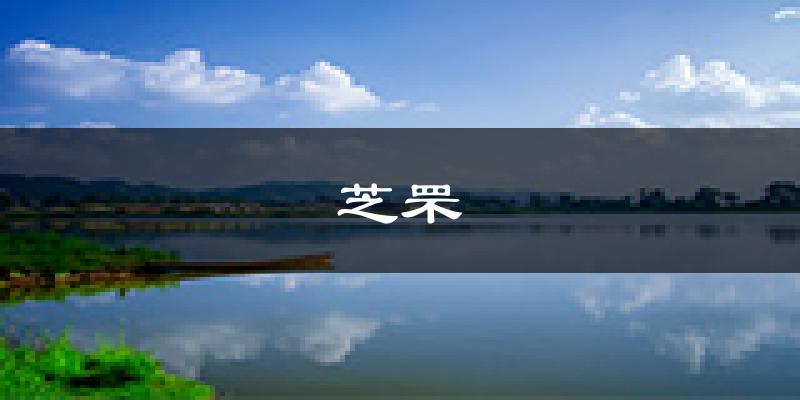 烟台芝罘天气预报未来一周