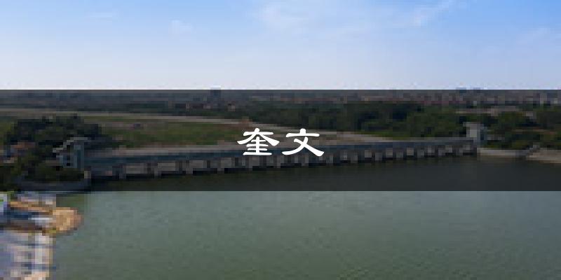 潍坊奎文天气预报未来一周