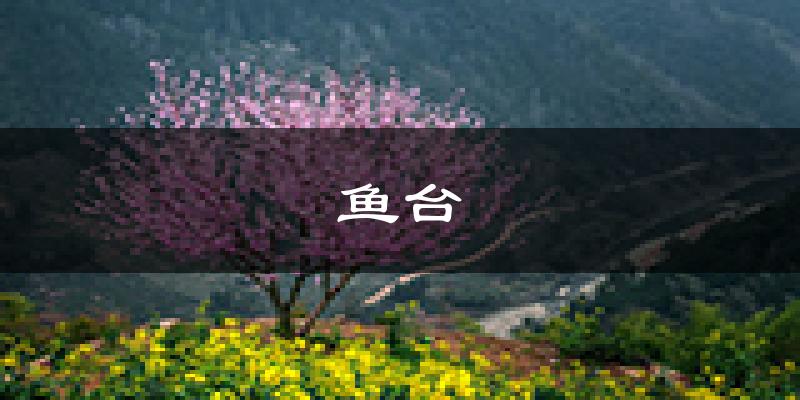 鱼台天气预报未来一周