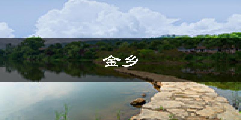 金乡天气预报未来一周