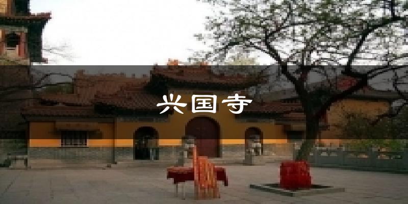 兴国寺今日天气