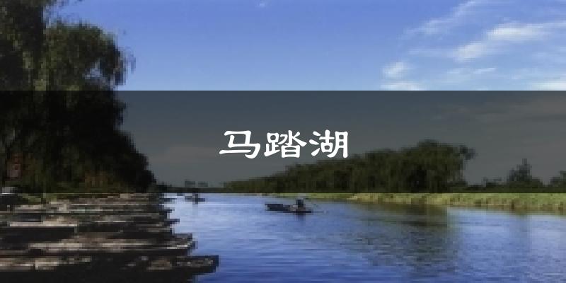 马踏湖气温