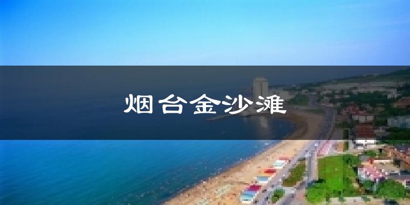 烟台金沙滩今日天气