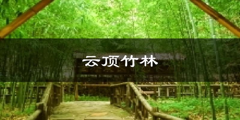 云顶竹林气温