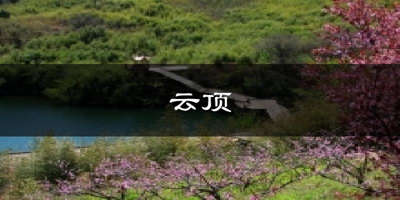 云顶气温
