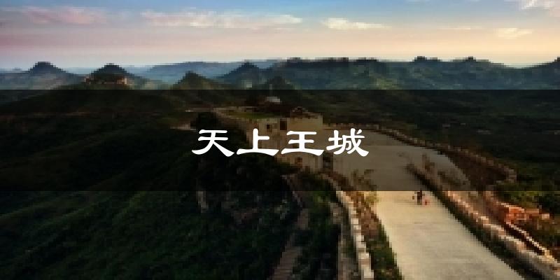 天上王城今日天气
