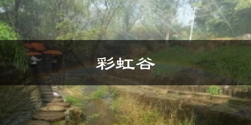 彩虹谷今日天气