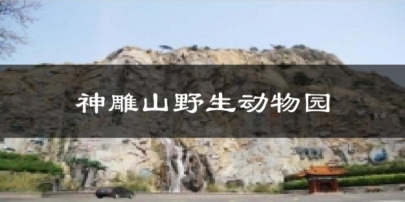 神雕山野生动物园气温