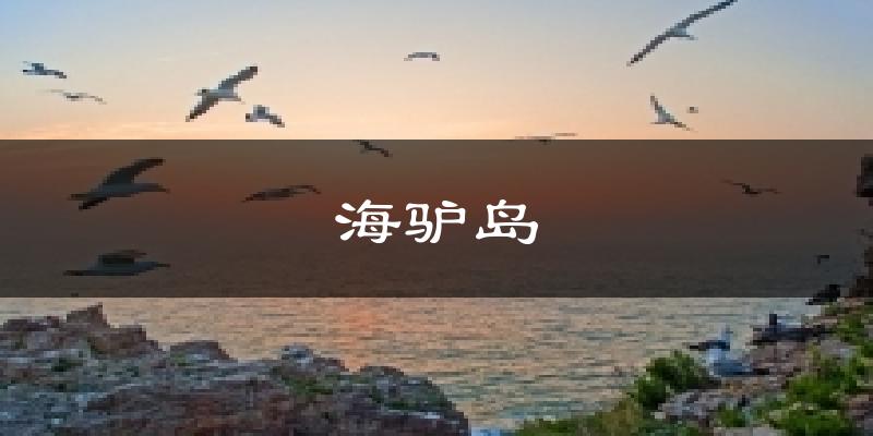 海驴岛气温