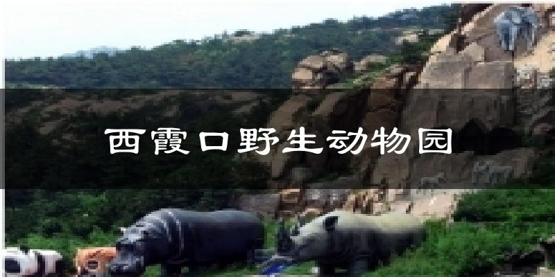 西霞口野生动物园气温