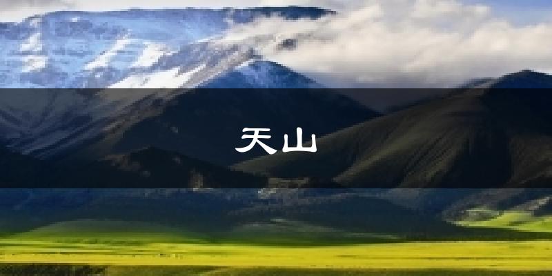 天山今日天气