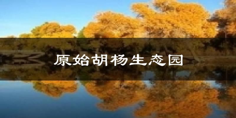 原始胡杨生态园今日天气