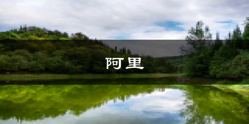 阿里天气预报未来一周
