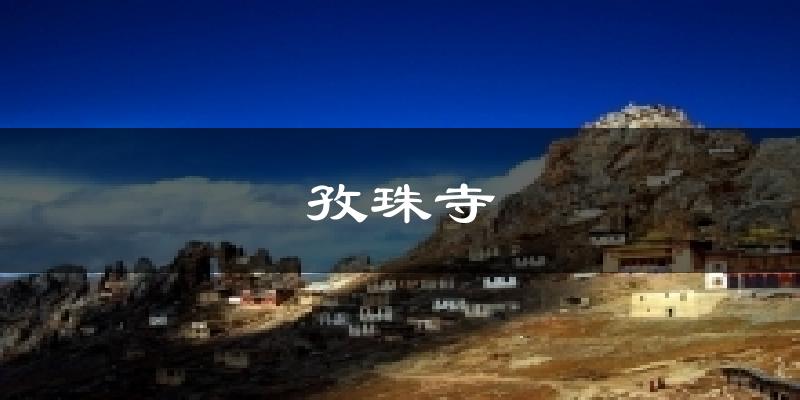 孜珠寺气温