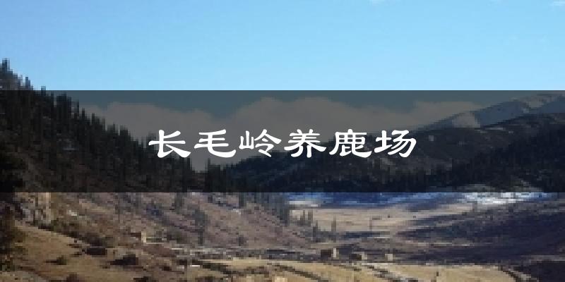 长毛岭养鹿场气温