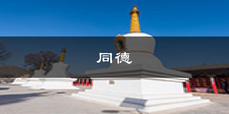 同德天气预报未来一周
