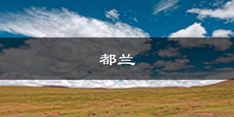 都兰天气预报未来一周