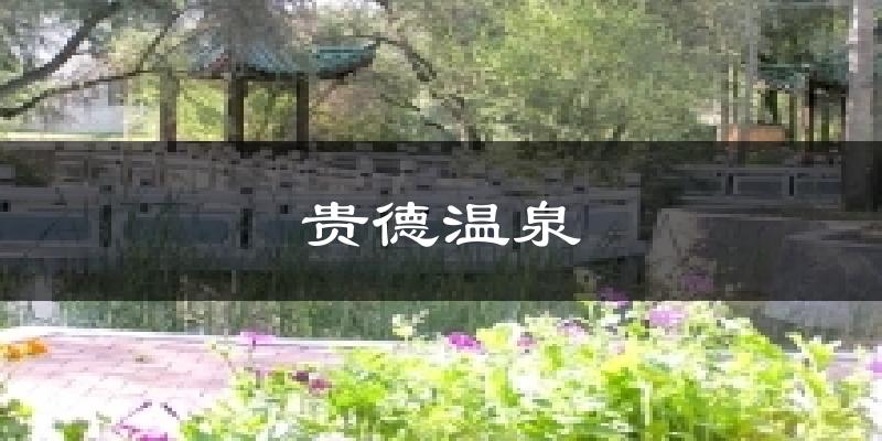贵德温泉今日天气
