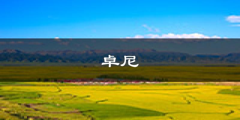 卓尼天气预报未来一周