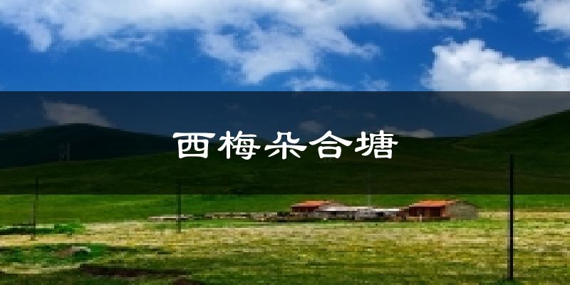 西梅朵合塘气温