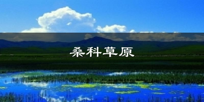 桑科草原气温