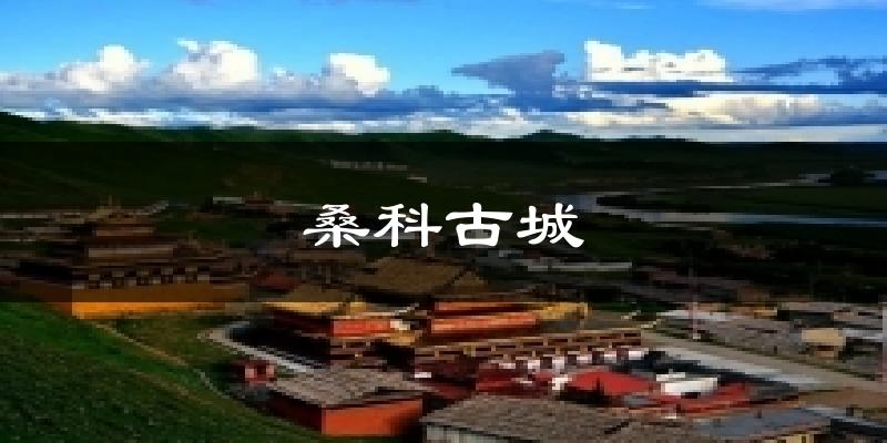 桑科古城气温